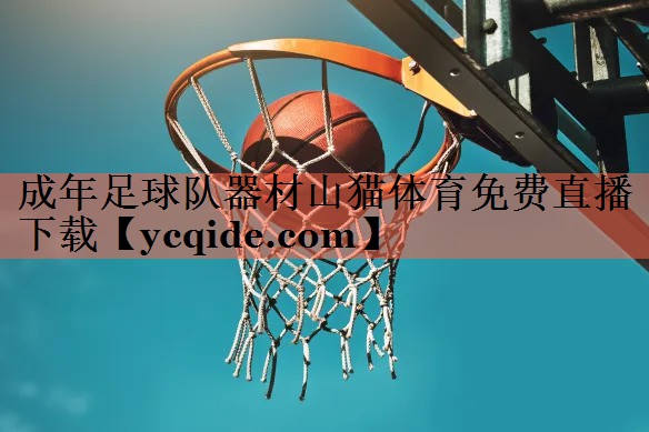 成年足球队器材山猫体育免费直播下载